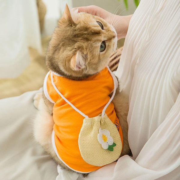 summer cat security vest soft fabric clothes woven shoulder bag thin puppy teddy small dog supplies breathable clothing for cats costumes
summer cat security vest soft fabric clothes woven shoulder bag thin puppy teddy small dog supplies breathable clothing for cats costumes