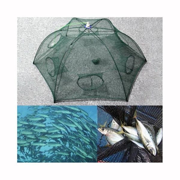 reinforced 4-20 hole fishing net folding portable hexagonal fish casting crayfish shrimp catcher tank trap cage accessories
reinforced 4-20 hole fishing net folding portable hexagonal fish casting crayfish shrimp catcher tank trap cage accessories
