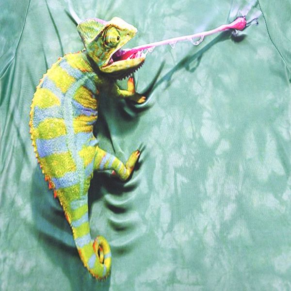 print cool t-shirt men or women 3d tshirt better funny chameleon short sleeve summer tees t shirt fashion s-, White;black
print cool t-shirt men or women 3d tshirt better funny chameleon short sleeve summer tees t shirt fashion s-, White;black