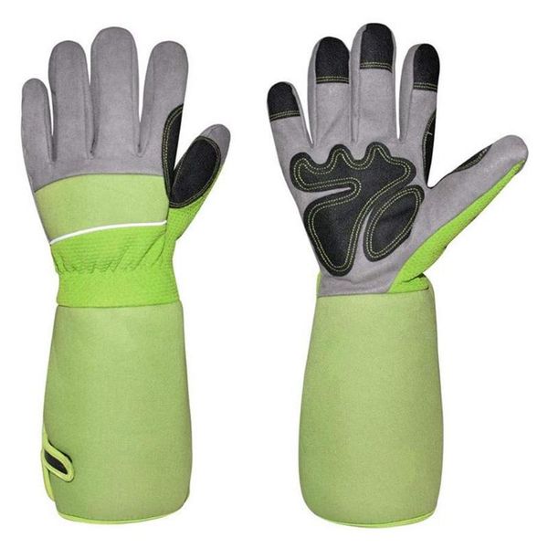 disposable gloves 1 pair professional gardening thorn proof waterproof wear-resistant work glove plants and flowers planting tools
disposable gloves 1 pair professional gardening thorn proof waterproof wear-resistant work glove plants and flowers planting tools