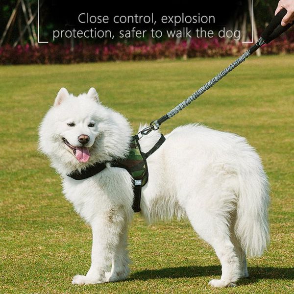 pet supplies dog multi-function elastic traction rope car dogleash retractable cushioning reflectivenylon seat belt collars & l
pet supplies dog multi-function elastic traction rope car dogleash retractable cushioning reflectivenylon seat belt collars & l