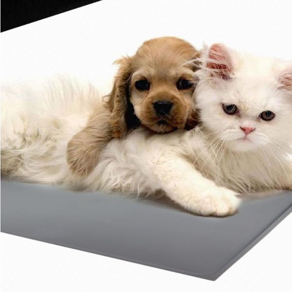 kennels & pens waterproof pet mat dog cat solid color silicone feeding placement bowl drinking easy washing
kennels & pens waterproof pet mat dog cat solid color silicone feeding placement bowl drinking easy washing
