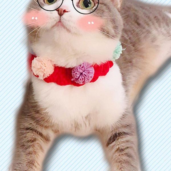 cat collars & leads cute collar pet knitted with pompom flower puppy adjustable scarf costume accessories for cats small dogs
cat collars & leads cute collar pet knitted with pompom flower puppy adjustable scarf costume accessories for cats small dogs