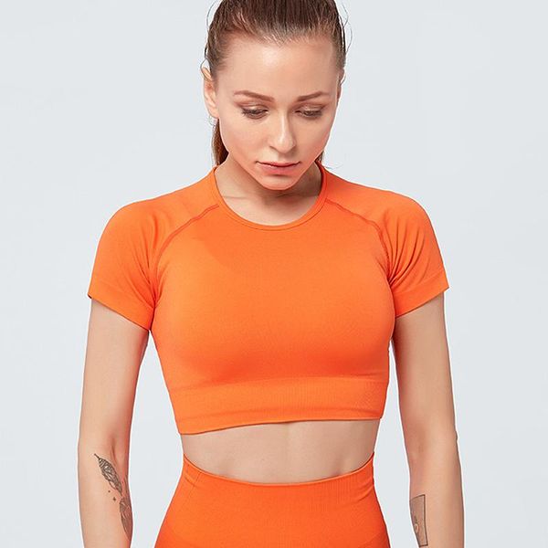 women's seamless short sleeve crop yoga shirts slim fit running fitness t-shirts workout for gym sport cycling wear outfit
women's seamless short sleeve crop yoga shirts slim fit running fitness t-shirts workout for gym sport cycling wear outfit