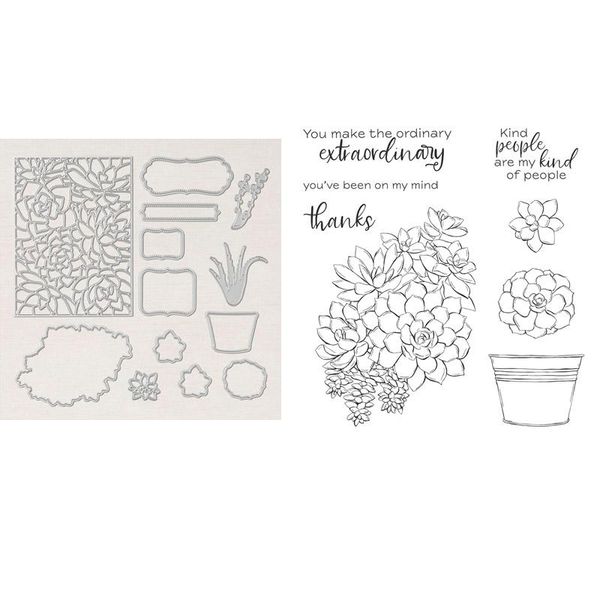 painting supplies simply succulents stamp set and coordinating dies plant flower pot clear for diy scrapbooking paper card making crafts
painting supplies simply succulents stamp set and coordinating dies plant flower pot clear for diy scrapbooking paper card making crafts