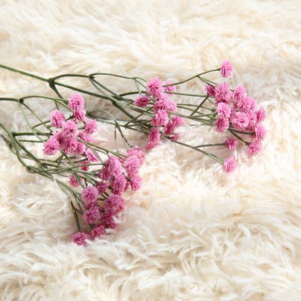 decorative flowers & wreaths 90 heads crafts diy home gift gypsophila coffee house artificial flower plastic pography props garden wedding
decorative flowers & wreaths 90 heads crafts diy home gift gypsophila coffee house artificial flower plastic pography props garden wedding