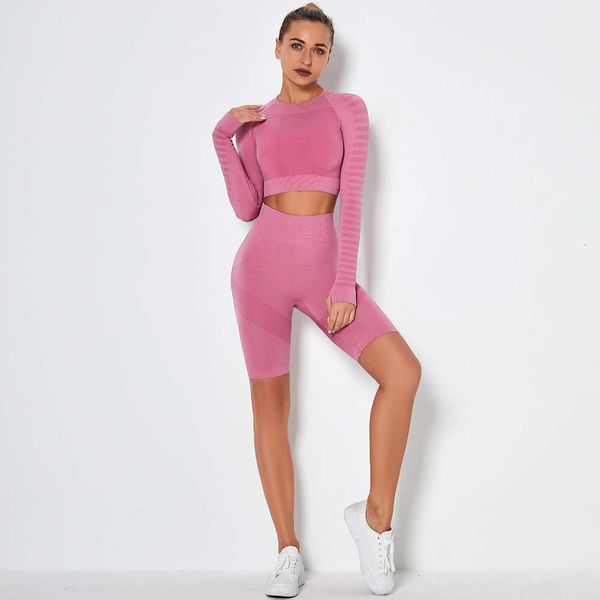 women's tracksuits tracksuits seamless knitting long sleeve suit running sweat absorbing exercise fitness yoga shorts ama7, Gray
women's tracksuits tracksuits seamless knitting long sleeve suit running sweat absorbing exercise fitness yoga shorts ama7, Gray