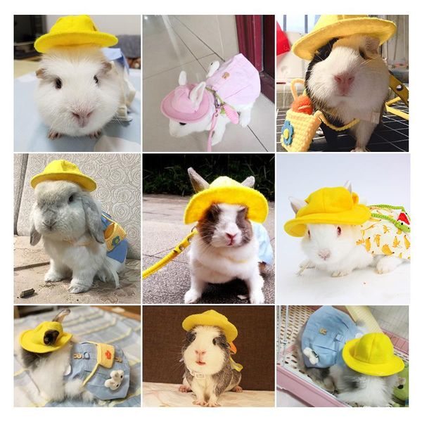 handmade clothes guinea pig totoro hat small animal accessories pet supplies leash
handmade clothes guinea pig totoro hat small animal accessories pet supplies leash