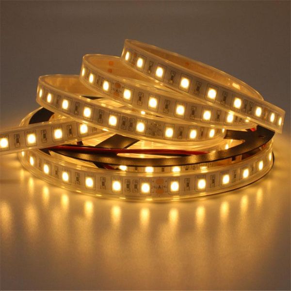 strips 5m ip67 ip68 waterproof led strip dc12v underwater outdoor safety rgb swimming pool fish tank soft tape
strips 5m ip67 ip68 waterproof led strip dc12v underwater outdoor safety rgb swimming pool fish tank soft tape