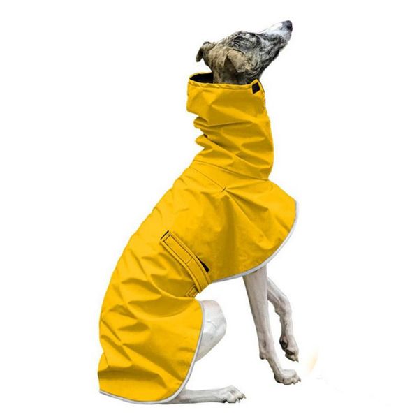 dog apparel large clothes autumn winter thick warm whippet greyhound doberman windproof cloak accessories
dog apparel large clothes autumn winter thick warm whippet greyhound doberman windproof cloak accessories