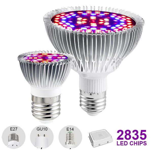 flowers plants led growth lamp grow light full spectrum e27 growing bulb for indoor 30w 50w 80w aluminum hydroponics lights
flowers plants led growth lamp grow light full spectrum e27 growing bulb for indoor 30w 50w 80w aluminum hydroponics lights