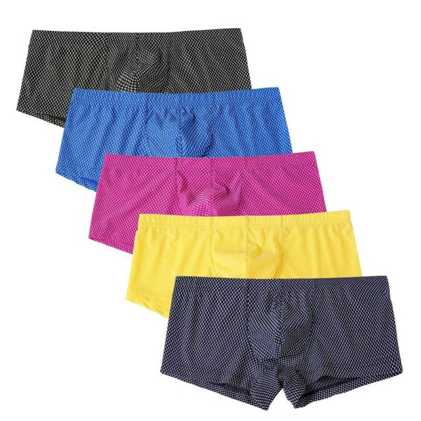 underpants 5pcs/lot summer men underwear boxer solid color dot ice silk seamless breathable soft boxershort, Black;white
underpants 5pcs/lot summer men underwear boxer solid color dot ice silk seamless breathable soft boxershort, Black;white