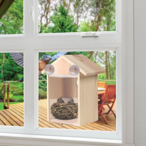 wood bird nests outdoor suction cup visible home garden window birdhouse wild birds feed dispenser container house g1 cages
wood bird nests outdoor suction cup visible home garden window birdhouse wild birds feed dispenser container house g1 cages