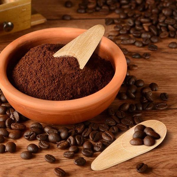 pieces mini wooden spoon condiments with short handle for coffee loose tea leaves milk powder spice candy dinnerware sets
pieces mini wooden spoon condiments with short handle for coffee loose tea leaves milk powder spice candy dinnerware sets