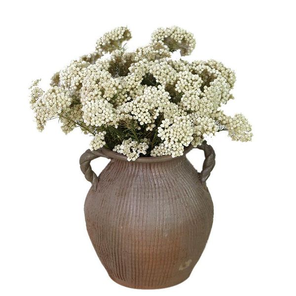 3pcs natural dried immortal millet flower pink ramillete flores eternell bouquet for home decor beige no vase decorative flowers & wreaths
3pcs natural dried immortal millet flower pink ramillete flores eternell bouquet for home decor beige no vase decorative flowers & wreaths