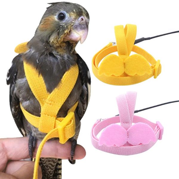 other bird supplies adjustable parrot harness leash set anti-bite training for parrots outdoor flying rope cockatiel small birds
other bird supplies adjustable parrot harness leash set anti-bite training for parrots outdoor flying rope cockatiel small birds