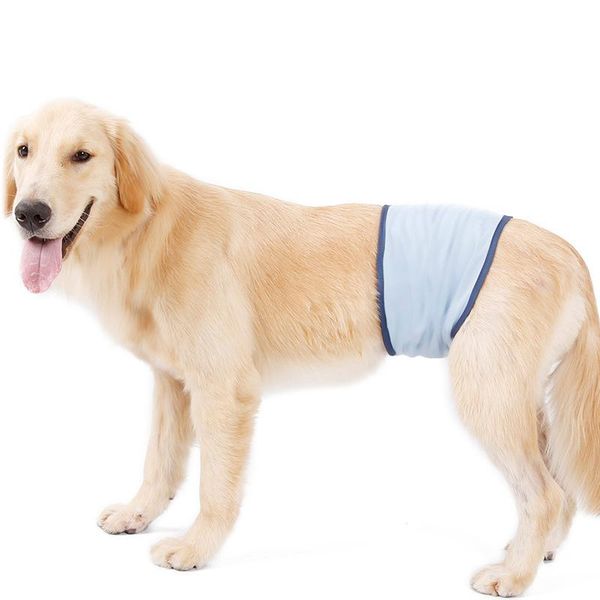dog apparel pet male physiological pants protection summer underpants restraint
dog apparel pet male physiological pants protection summer underpants restraint