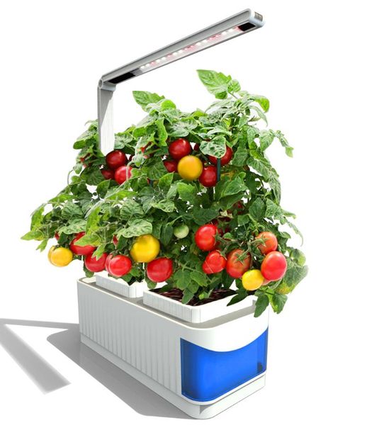 grow lights intelligent plant growing lighting microgreens lamp growlight indoor full spectrum led light hydroponic systems
grow lights intelligent plant growing lighting microgreens lamp growlight indoor full spectrum led light hydroponic systems
