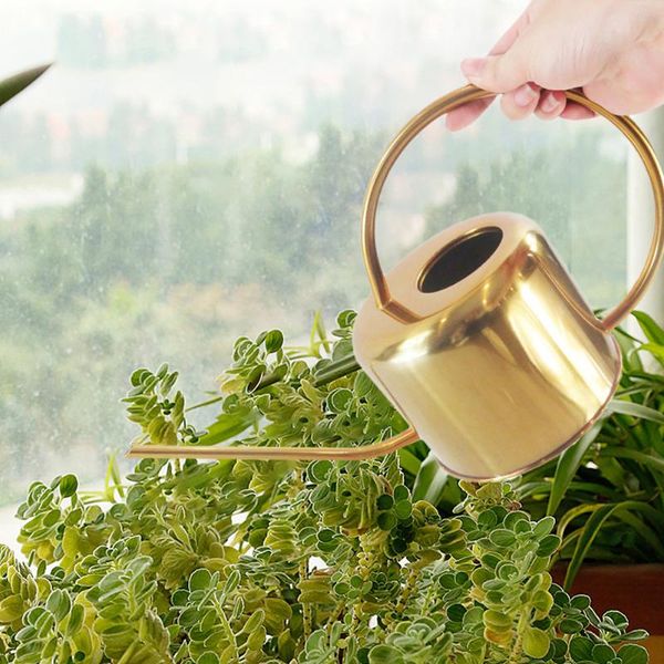 watering equipments garden can european gardening pot stainless steel 1300ml household shower gold small flower
watering equipments garden can european gardening pot stainless steel 1300ml household shower gold small flower