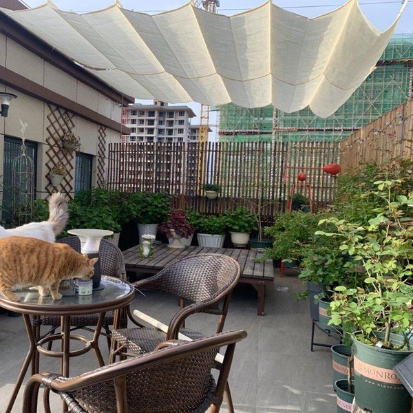 thicken grey color wave sunshade net home garden courtyard pavilion sun sails room canopy cloth shade nets
thicken grey color wave sunshade net home garden courtyard pavilion sun sails room canopy cloth shade nets