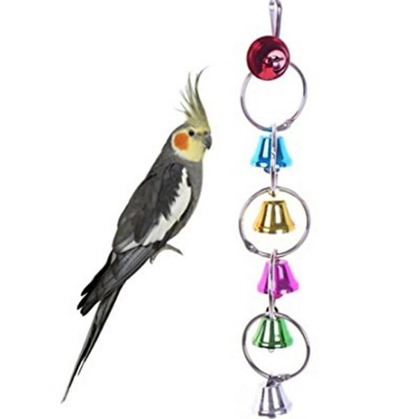 other bird supplies pet parrot toy hanging cage toys for parrots squirrel cockatiel funny swing
other bird supplies pet parrot toy hanging cage toys for parrots squirrel cockatiel funny swing