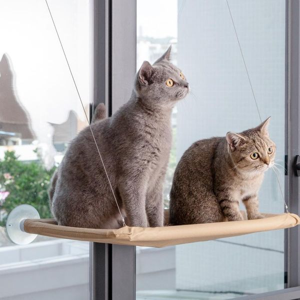 cat beds & furniture cute pet dog hanging wall-mounted window installation hammock plenty of sunshine bearing 20kg comfortable bed
cat beds & furniture cute pet dog hanging wall-mounted window installation hammock plenty of sunshine bearing 20kg comfortable bed