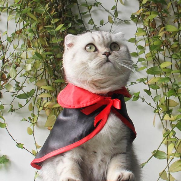 cat costumes halloween wizard cape hat pet festival cosplay dressing up party cloth accessory shawl warm soft lightweight
cat costumes halloween wizard cape hat pet festival cosplay dressing up party cloth accessory shawl warm soft lightweight