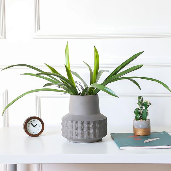 decorative flowers & wreaths tropical leaves large artificial plants fake succulent plant plastic tree branch orchid onion grass for home ga
decorative flowers & wreaths tropical leaves large artificial plants fake succulent plant plastic tree branch orchid onion grass for home ga