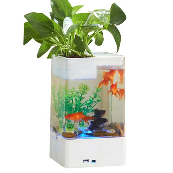 aquariums mini transparent acrylic deskself cleaning goldfish bowl fish tank for office decoration
aquariums mini transparent acrylic deskself cleaning goldfish bowl fish tank for office decoration