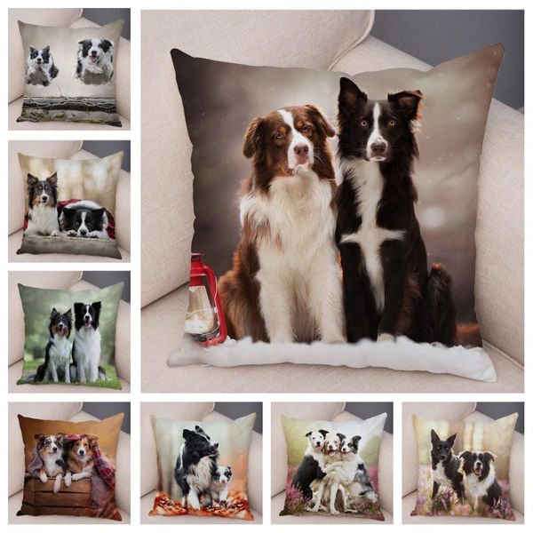 cushion/decorative pillow cushion cover scotland border collie soft plush pillowcase decor dog printed cute pet animal case for sofa car 45*
cushion/decorative pillow cushion cover scotland border collie soft plush pillowcase decor dog printed cute pet animal case for sofa car 45*