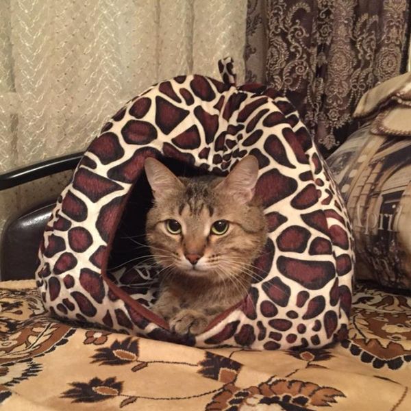 cat beds & furniture leopard cotton kitten house warm soft winter pet dog bed kennel fleece cozy small s-xxl dogs for nest medium
cat beds & furniture leopard cotton kitten house warm soft winter pet dog bed kennel fleece cozy small s-xxl dogs for nest medium