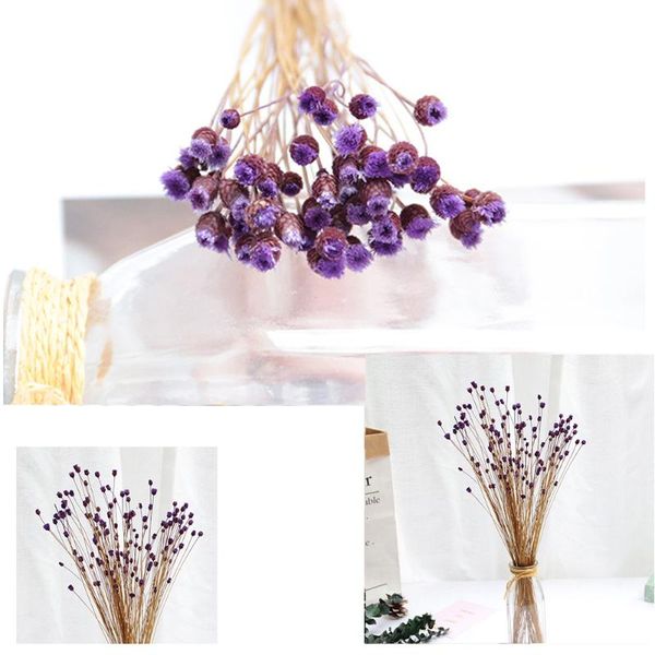 decorative flowers & wreaths dried natural artificial flower home decoration bedroom simulation 9 colors 50pcs
decorative flowers & wreaths dried natural artificial flower home decoration bedroom simulation 9 colors 50pcs