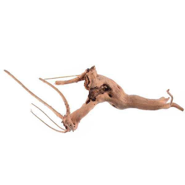decorations wood natural trunk driftwood fish tank reptile plant tree aquarium decoration ornaments 18*11*11cm
decorations wood natural trunk driftwood fish tank reptile plant tree aquarium decoration ornaments 18*11*11cm