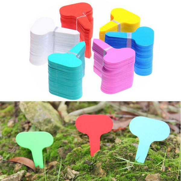 other garden supplies 100pcs labels t-type plant markers classification writing plate board for nursery pots seedling mark tools
other garden supplies 100pcs labels t-type plant markers classification writing plate board for nursery pots seedling mark tools