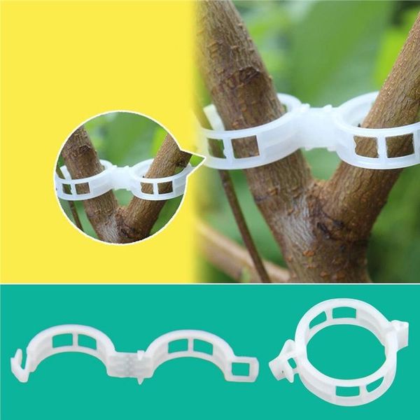 other garden supplies 50/100pcs plastic plant support clips vine tomato stem vegetable fixing clip greenhouse accessories 30mm
other garden supplies 50/100pcs plastic plant support clips vine tomato stem vegetable fixing clip greenhouse accessories 30mm