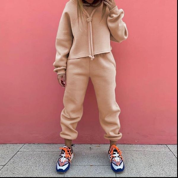fashion loose casual hoodie suit women tracksuits two piece set solid color sets thick warm suits, Gray
fashion loose casual hoodie suit women tracksuits two piece set solid color sets thick warm suits, Gray