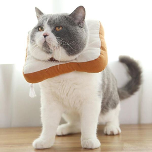 cat dogs collar dog neck cone recovery anti-bite wound healing adjustable bread shape pet protective collars & leads
cat dogs collar dog neck cone recovery anti-bite wound healing adjustable bread shape pet protective collars & leads