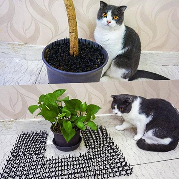 cat carriers,crates & houses 12pcs/set mats anti-cat garden gatos dogs repellent mat prickle strips keep cats away safe plastic spike 200x15
cat carriers,crates & houses 12pcs/set mats anti-cat garden gatos dogs repellent mat prickle strips keep cats away safe plastic spike 200x15