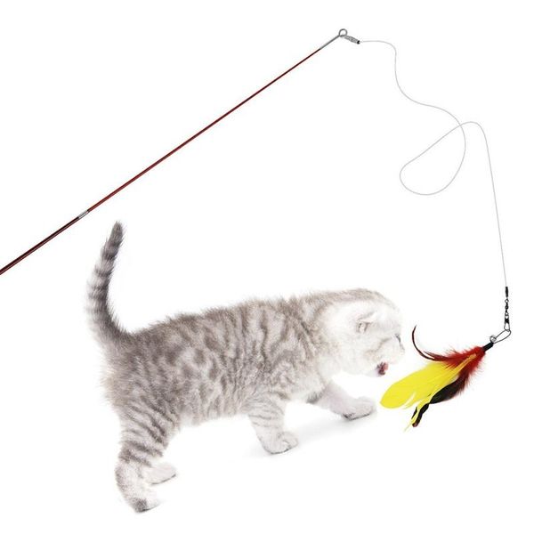pet wire feather rod cat toy durable steel wand catcher extendable teaser stick interactive toys
pet wire feather rod cat toy durable steel wand catcher extendable teaser stick interactive toys
