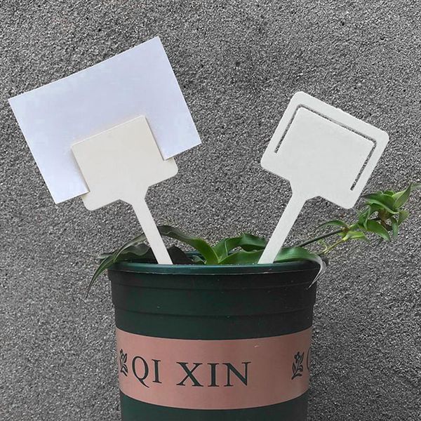 other garden supplies 3pcs gardening label card flower plant plastic thickened color inserting ground
other garden supplies 3pcs gardening label card flower plant plastic thickened color inserting ground