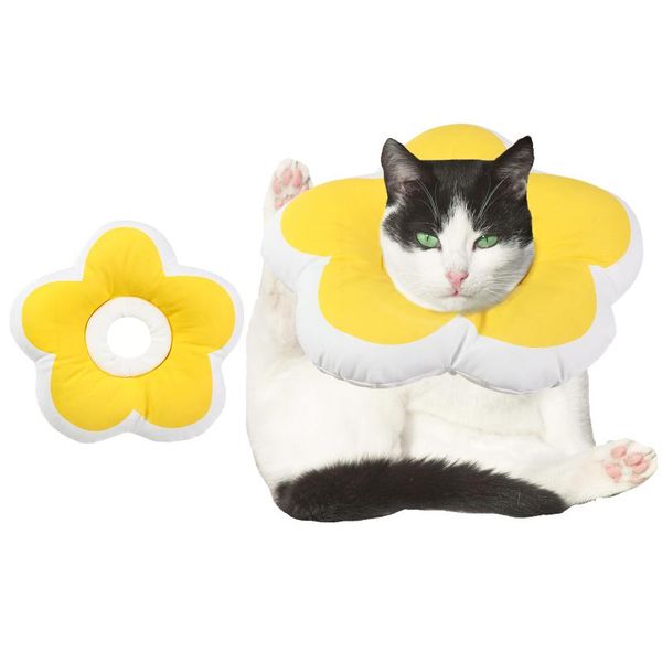 cat collars & leads dog elizabethan collar cute health recove anti-scratch anti-licking circle yellow adjustable pet product 
cat collars & leads dog elizabethan collar cute health recove anti-scratch anti-licking circle yellow adjustable pet product