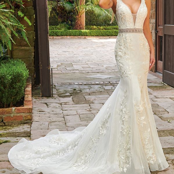 glamorous fit flare swiss dot wedding dress with a plunging v-shaped neckline and sheer beaded waistband, White
glamorous fit flare swiss dot wedding dress with a plunging v-shaped neckline and sheer beaded waistband, White