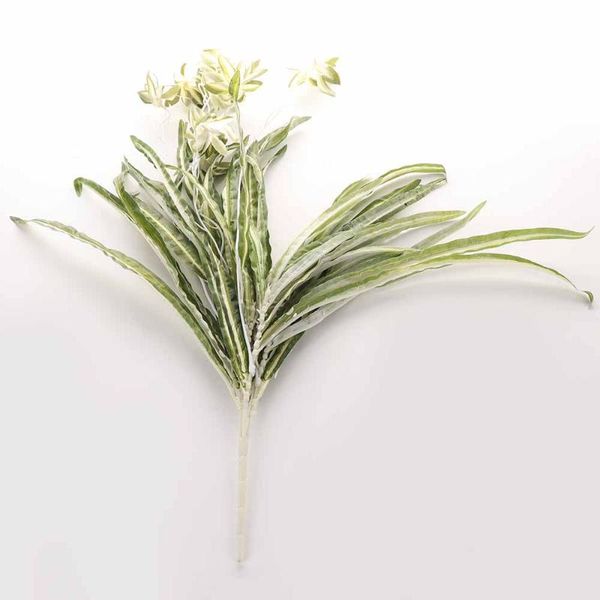 simulation chlorophytum artificial plants imitation wedding wall hanging bedroom decoration decorative flowers & wreaths
simulation chlorophytum artificial plants imitation wedding wall hanging bedroom decoration decorative flowers & wreaths