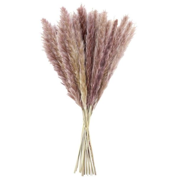 decorative flowers & wreaths pampas grass dried reed decoration 50 pieces, vases 44-45cm, bouquet boho
decorative flowers & wreaths pampas grass dried reed decoration 50 pieces, vases 44-45cm, bouquet boho