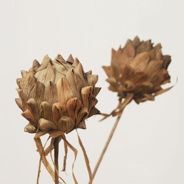 2pcs,craft natural pitaya with branch,eternelle dried floral display flower for wedding home decoration,christmas party decor decorative flo
2pcs,craft natural pitaya with branch,eternelle dried floral display flower for wedding home decoration,christmas party decor decorative flo