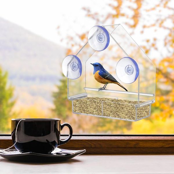 creative window bird feeders clear glass viewing feed el table peanut hanging suction for pet birds outdoor party favor
creative window bird feeders clear glass viewing feed el table peanut hanging suction for pet birds outdoor party favor
