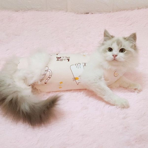 spring summer cat sterilization suit anti-licking after recovery pet care clothes breathable cats weaning costumes
spring summer cat sterilization suit anti-licking after recovery pet care clothes breathable cats weaning costumes