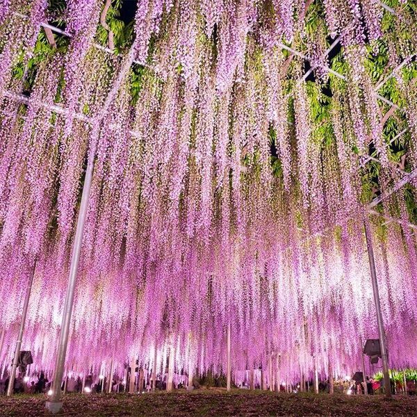 decorative flowers & wreaths wedding decorations artificial silk wisteria cattleya romantic flower garland decor fake home garden decoration
decorative flowers & wreaths wedding decorations artificial silk wisteria cattleya romantic flower garland decor fake home garden decoration