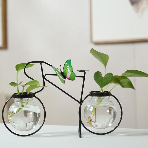 vases green dill plant glass transparent vase flower arrangement hydroponic pot wrought iron deskliving room decoration
vases green dill plant glass transparent vase flower arrangement hydroponic pot wrought iron deskliving room decoration
