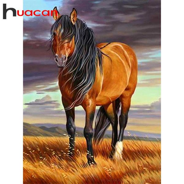 diamond painting huacan diy horse kits embroidery animal mosaic cross stitch home decoration sale
diamond painting huacan diy horse kits embroidery animal mosaic cross stitch home decoration sale